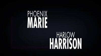Phoenix Marie - Harlow Harrison - Busty Sluts Share Hor - drtuber.com